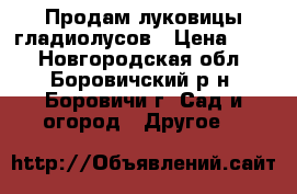 Продам луковицы гладиолусов › Цена ­ 15 - Новгородская обл., Боровичский р-н, Боровичи г. Сад и огород » Другое   